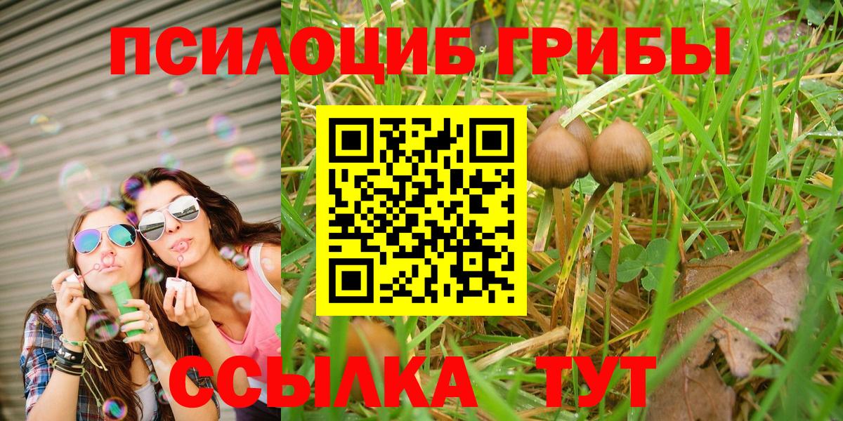 Сибай  Псилоцибиновые грибы Psilocybe  купить   Вход с VPN  Галлюциногенные грибы MAGIC MUSHROOMS 