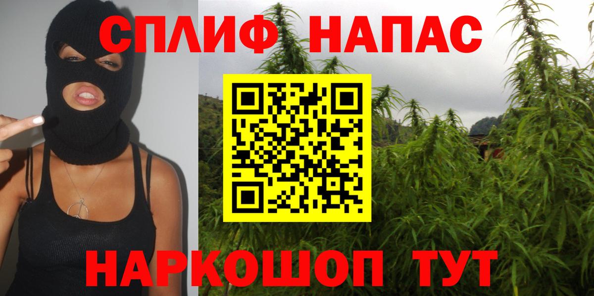 Сибай  Канабис сатива  Вход с VPN  Бошки Шишки план  Канабис SATIVA & INDICA  Бошки Шишки сатива 